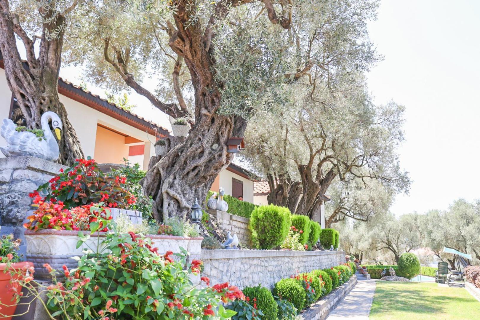 Hilja'S Oliven Garden Bungalows 울친 외부 사진