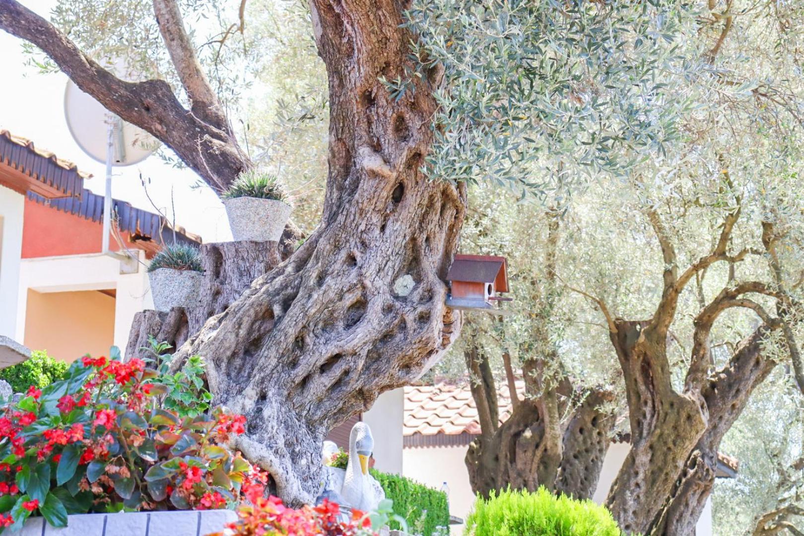 Hilja'S Oliven Garden Bungalows 울친 외부 사진
