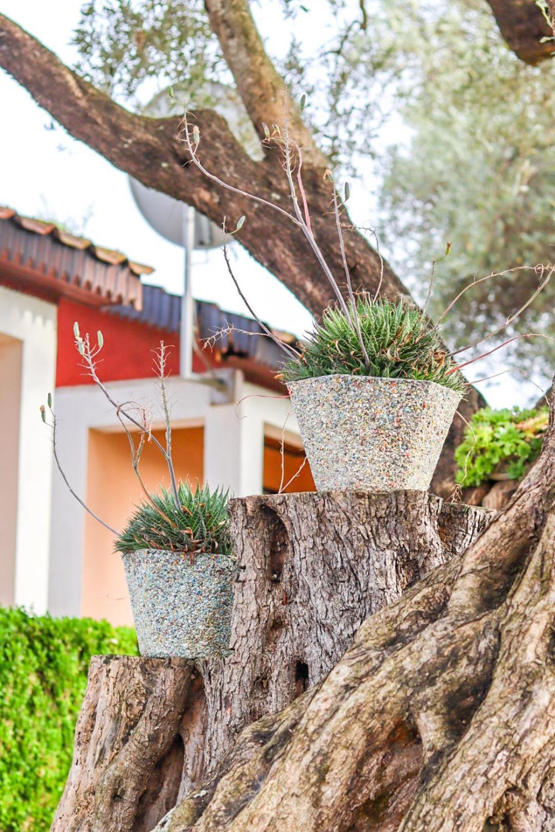 Hilja'S Oliven Garden Bungalows 울친 외부 사진