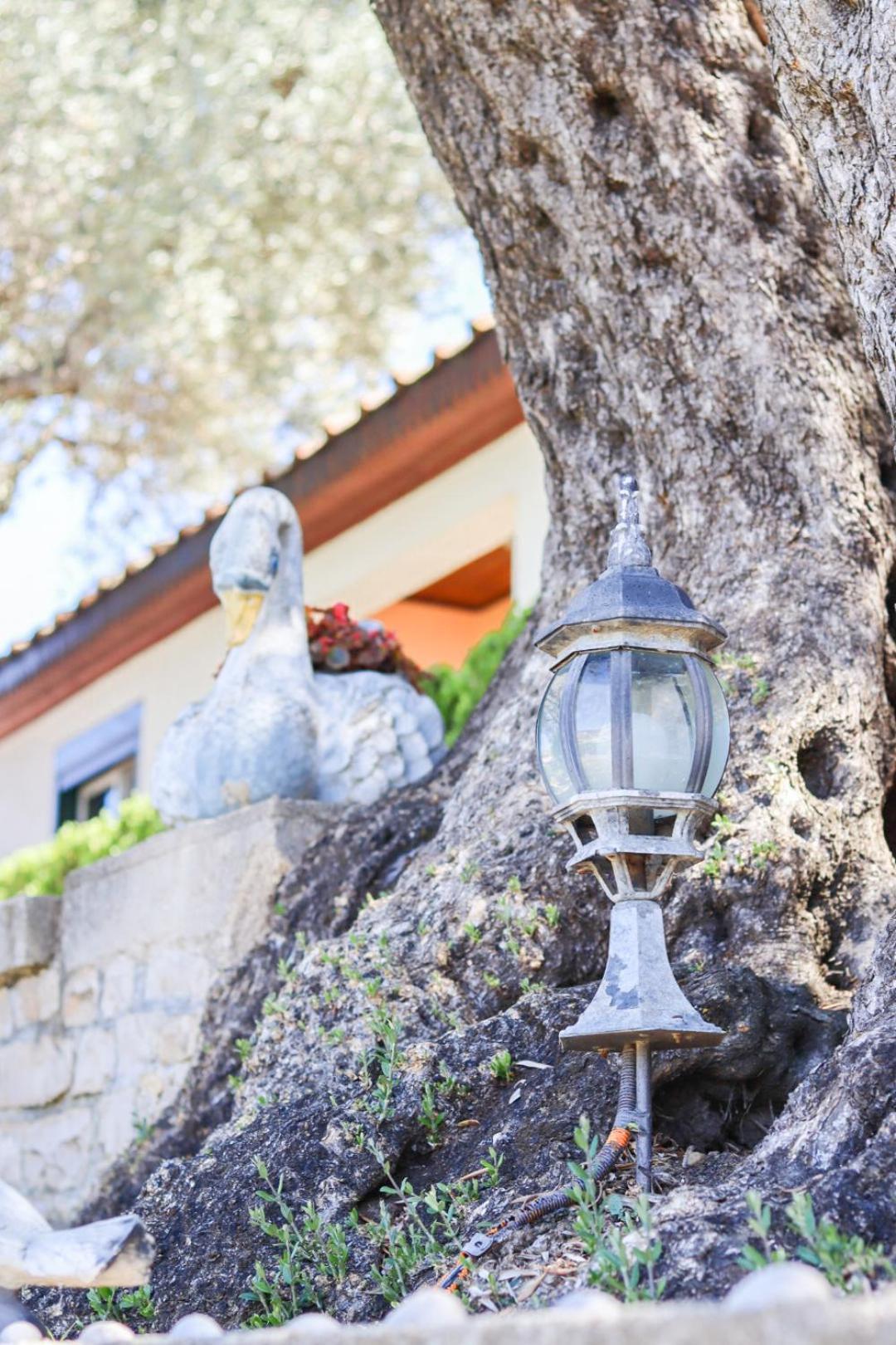 Hilja'S Oliven Garden Bungalows 울친 외부 사진