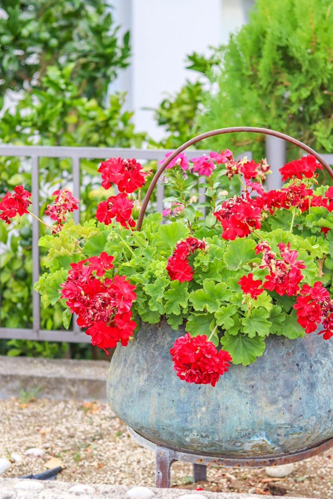 Hilja'S Oliven Garden Bungalows 울친 외부 사진