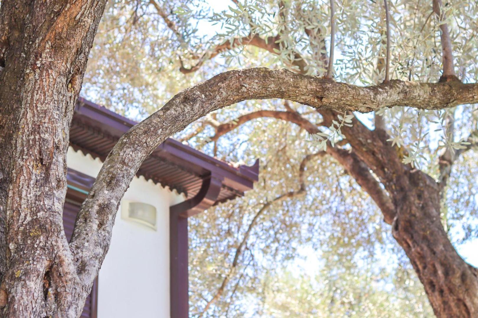 Hilja'S Oliven Garden Bungalows 울친 외부 사진