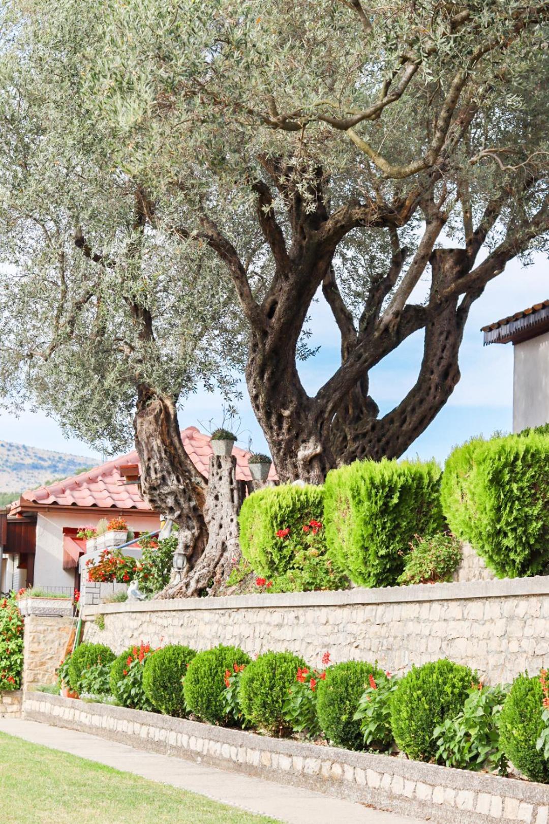 Hilja'S Oliven Garden Bungalows 울친 외부 사진
