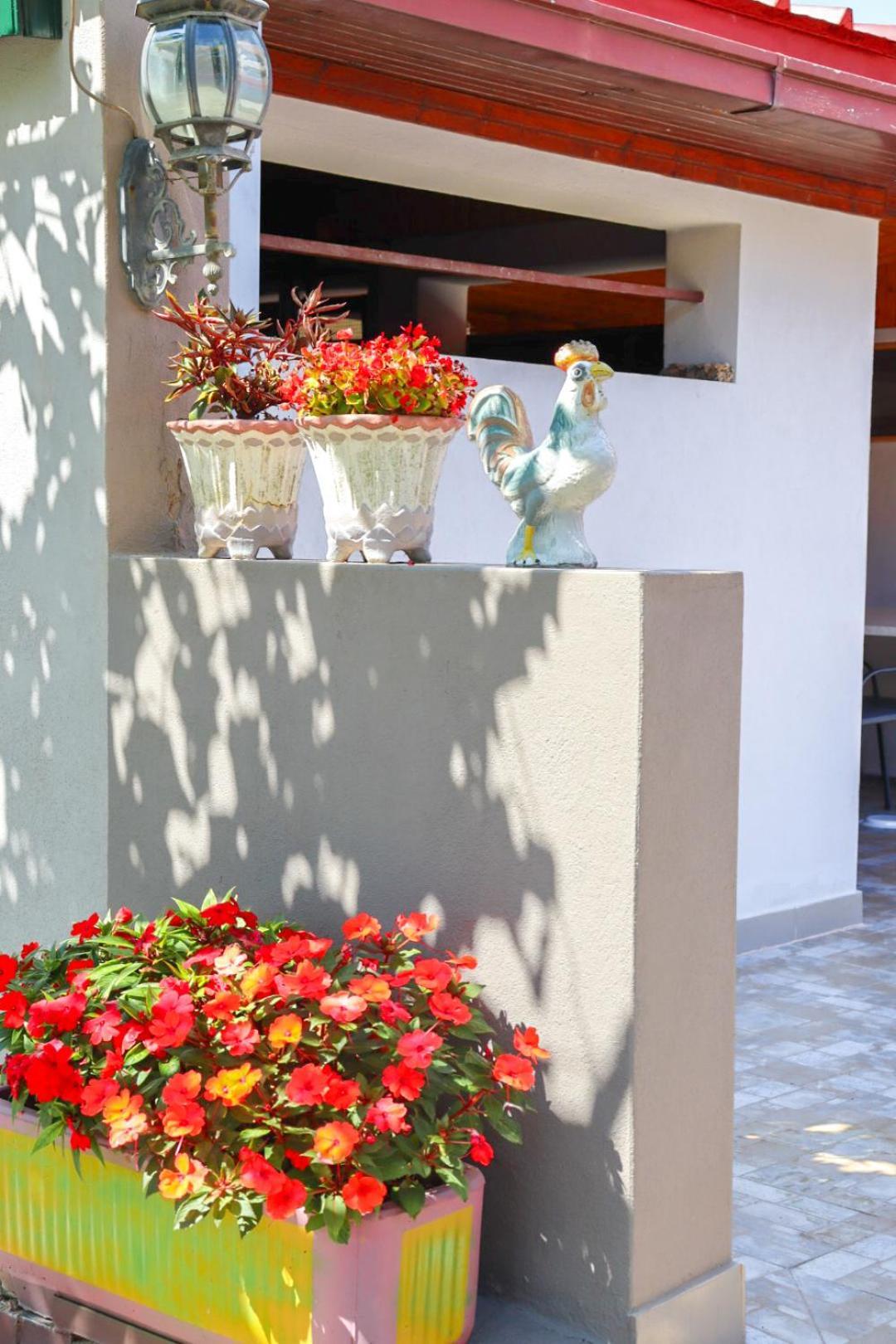 Hilja'S Oliven Garden Bungalows 울친 외부 사진
