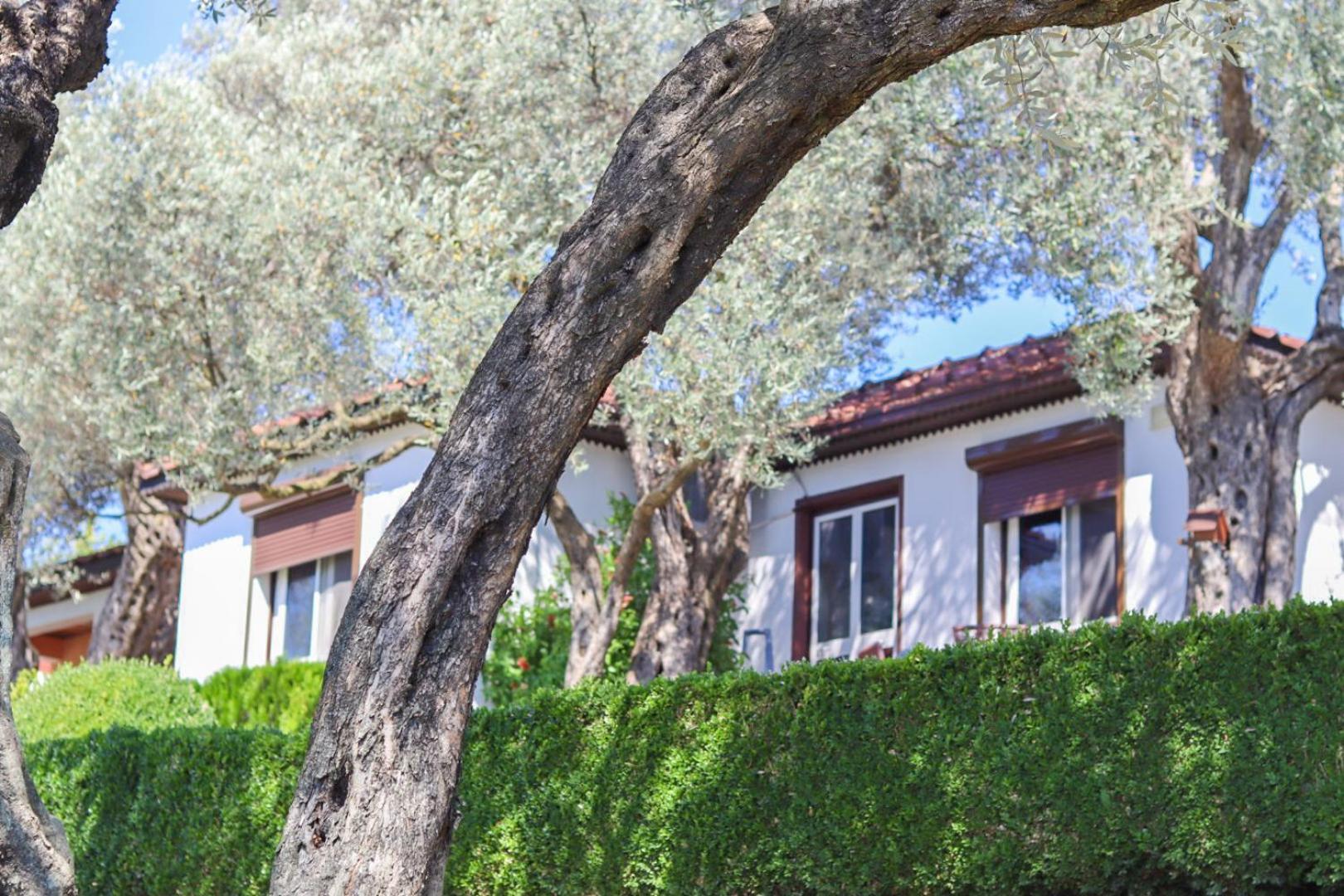 Hilja'S Oliven Garden Bungalows 울친 외부 사진